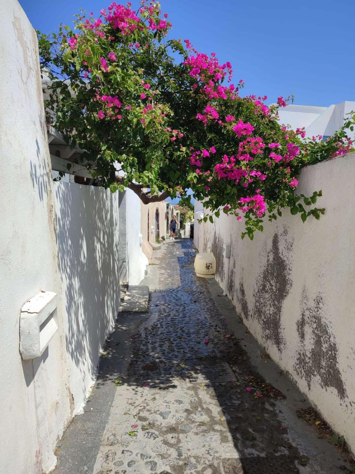 Fira Comfort Rooms Exterior foto